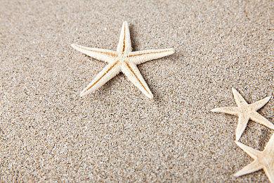 《麦登橄榄球22》PC版为旧世代移植 EA：没工夫管